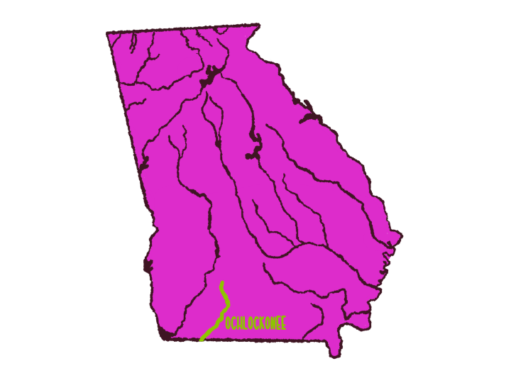 Ochlockonee River