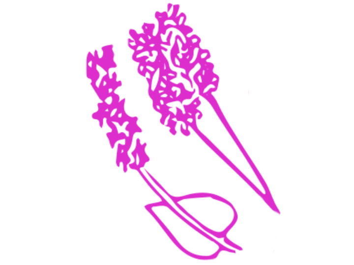 Pickerelweed