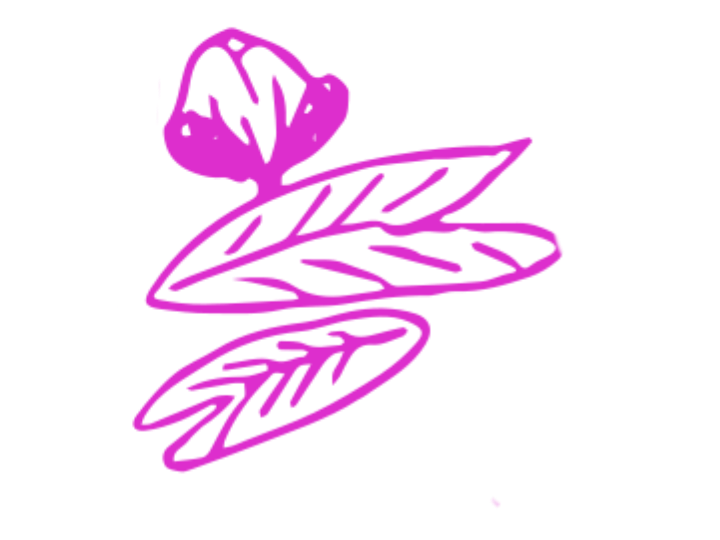Spatterdock