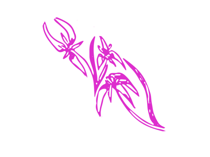 Starrush