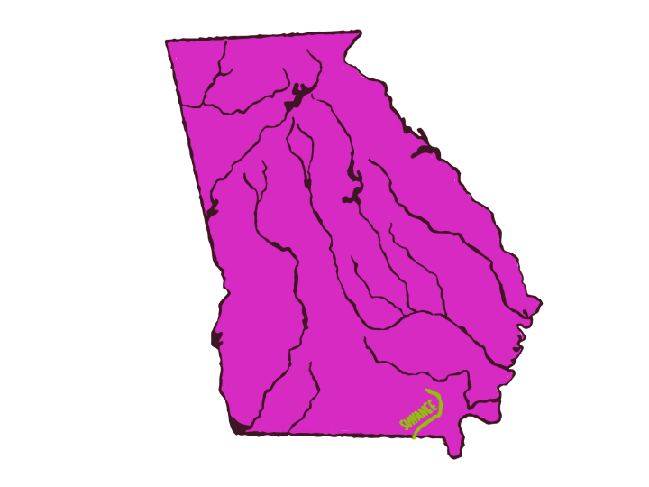 Suwannee River