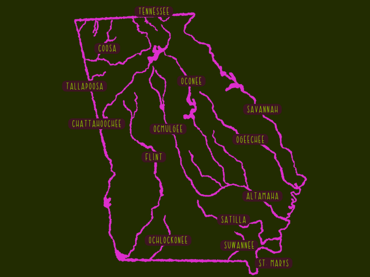 Georgia River Basins