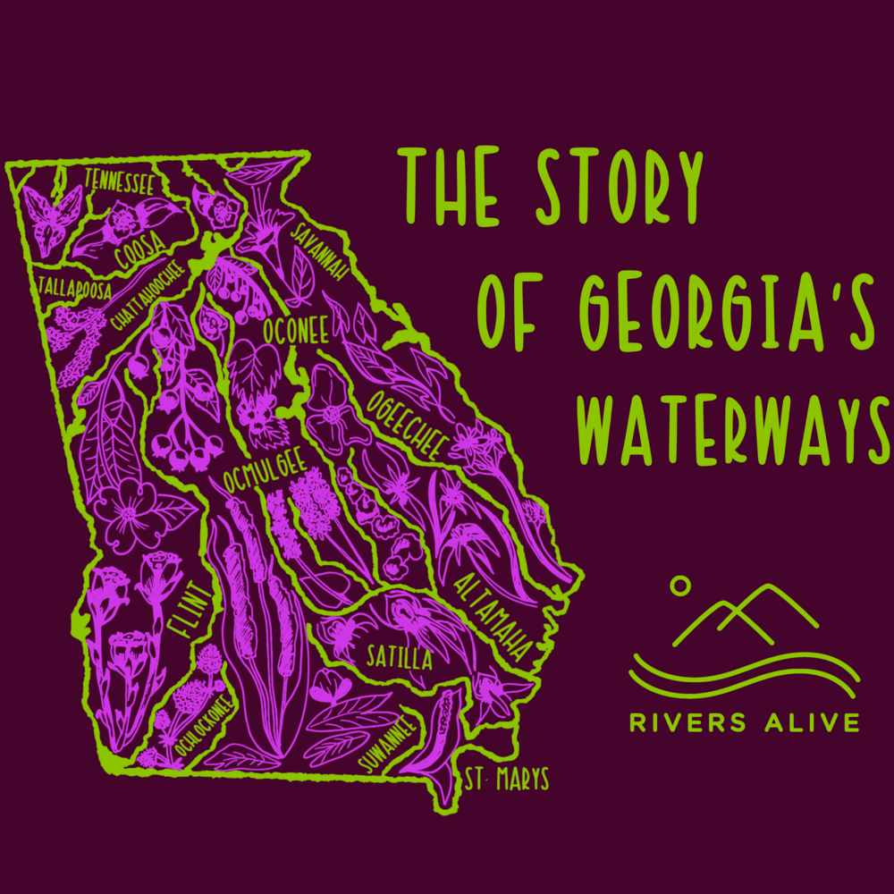 Georgia Map